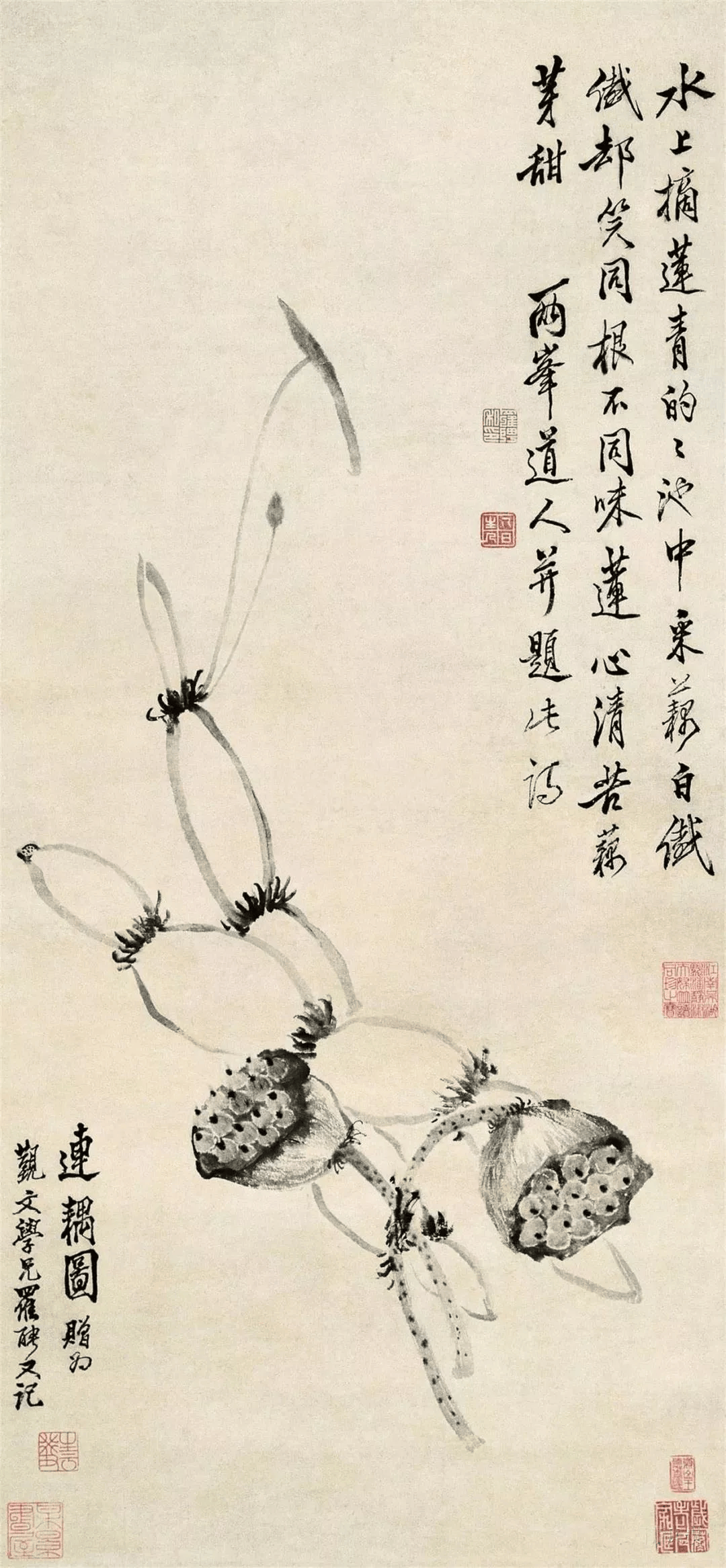 国画大师画的莲藕