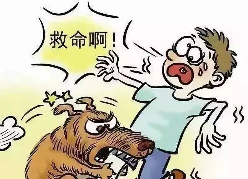 狗咬狗图片表情包图片