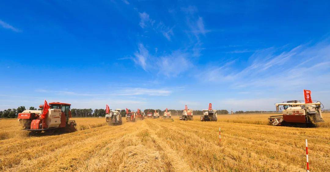 记录类《丰收的田野》 薛亚平(平凉灵台)记录类《崇信非遗——点灯背