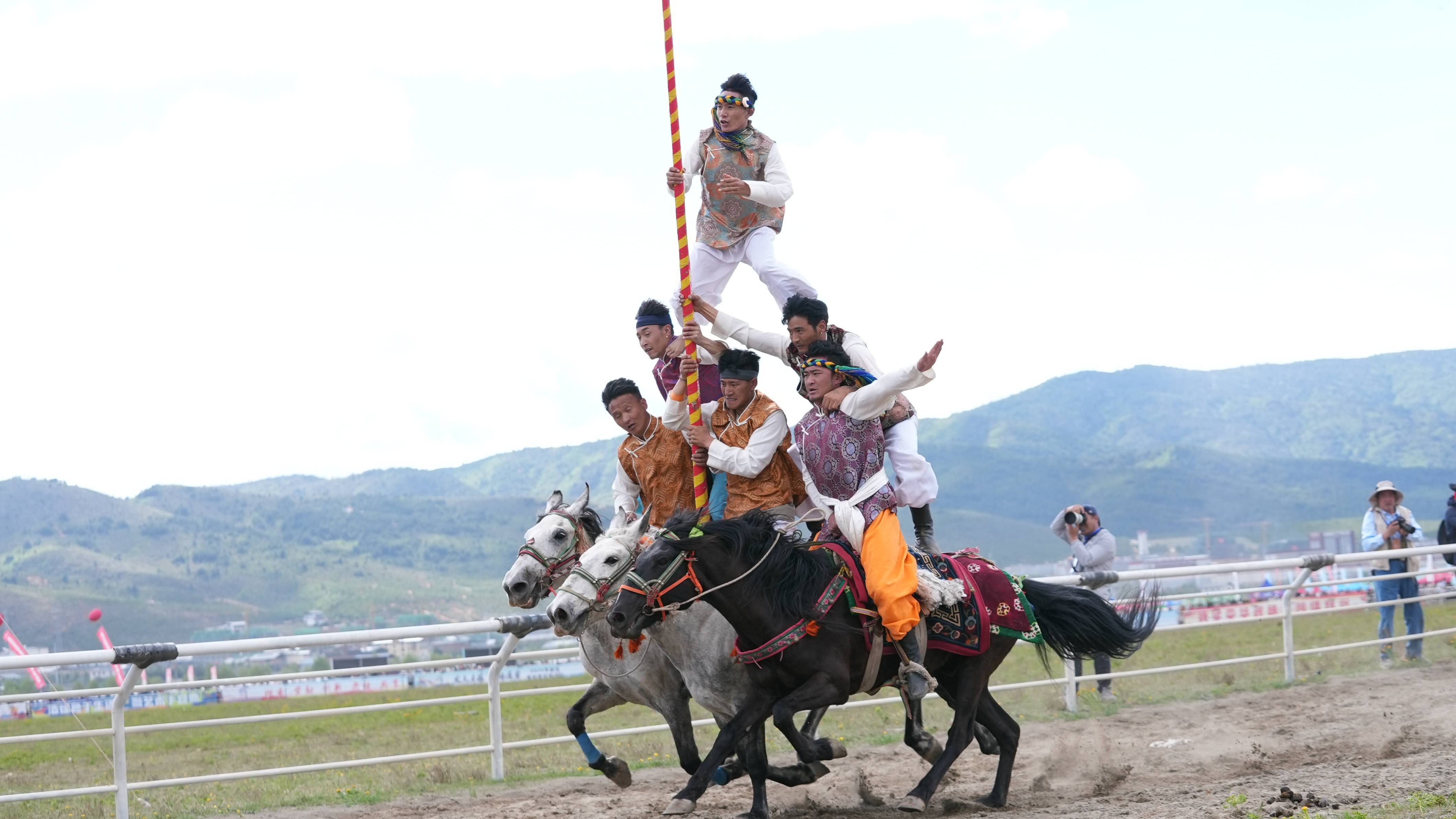 端午期间云南迪庆举行香格里拉赛马会,参赛马匹数为历届最多