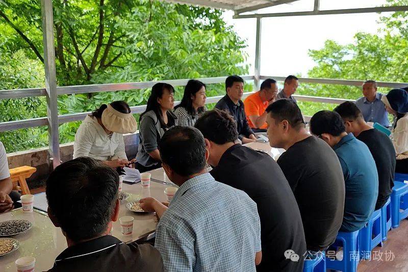 【工作动态】重点提案 院坝协商 南涧县政协助力农村老人共享"小院"