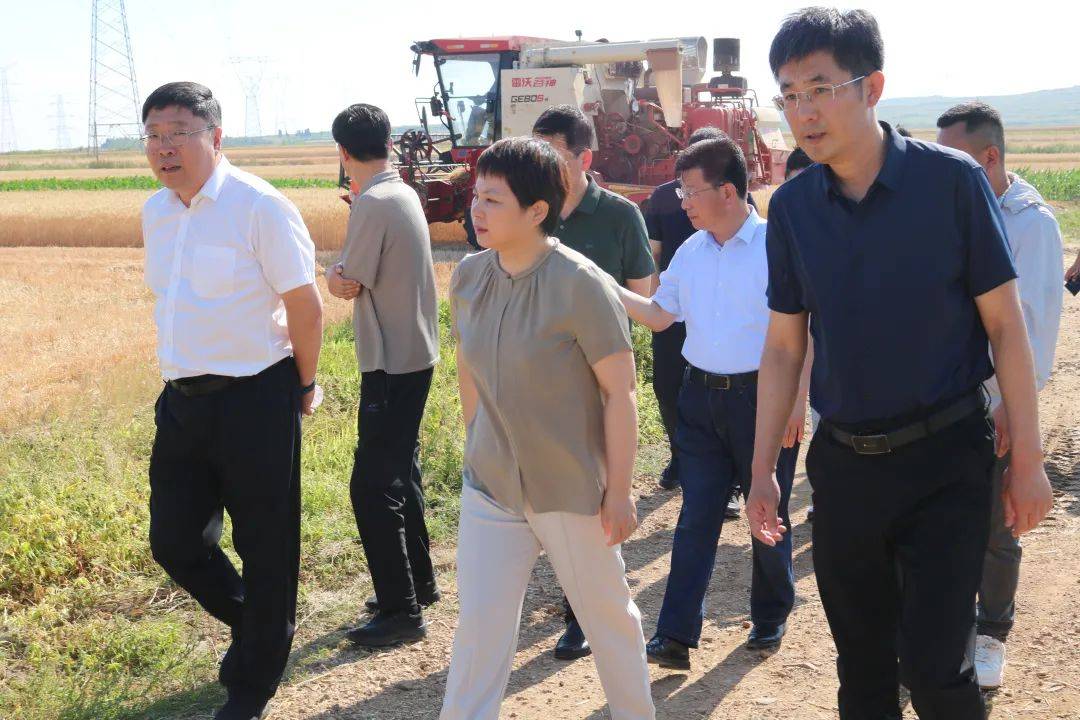 莱阳市领导督导"三夏"生产工作并调研大夼镇