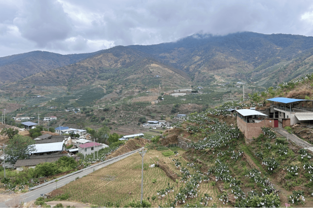 正面battle!仁和这六个村擂台比拼晒亮点