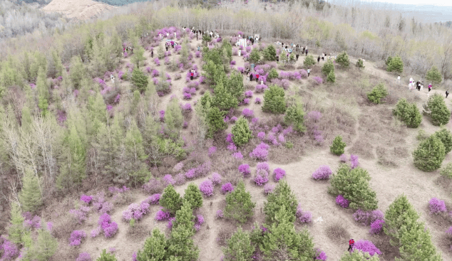 密山市2024年精品线路