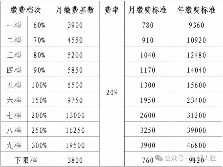 2020年社保缴费明细表图片