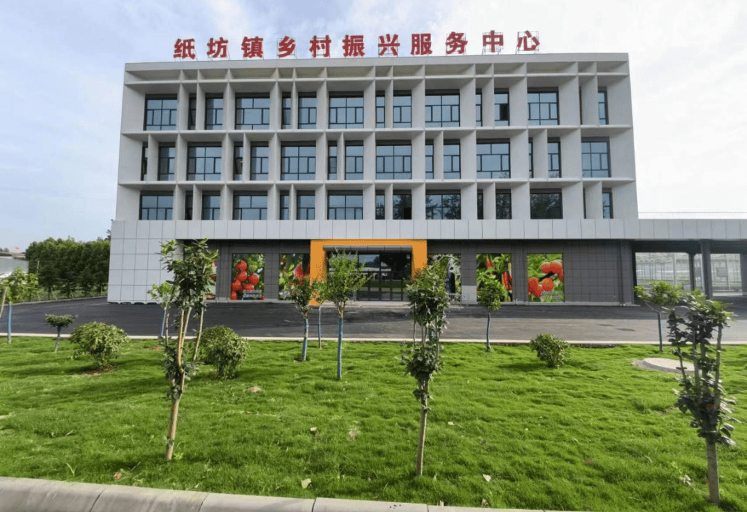 嘉祥县纸坊镇:激扬青春力量 共筑友好纸坊