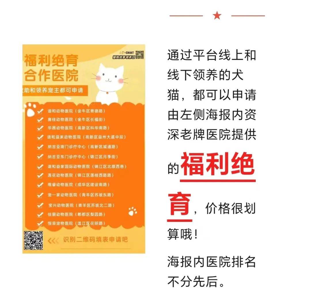 2024年6月13日( 成都3只奶猫找新家)