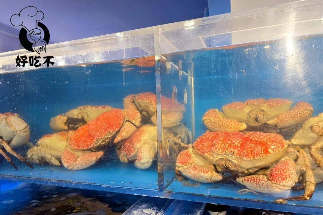 纽约白菜价帝王蟹/东星斑回归!加拿大龙虾竟免费送!_特价_鱼肉_渔村
