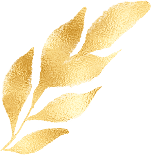 医学人文 | picc门诊的李阿姨