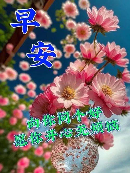 今日最新早上好图片大全,快乐相随,夏日平安!