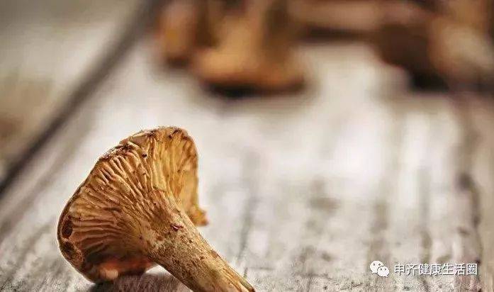免疫能力_多糖_肿瘤