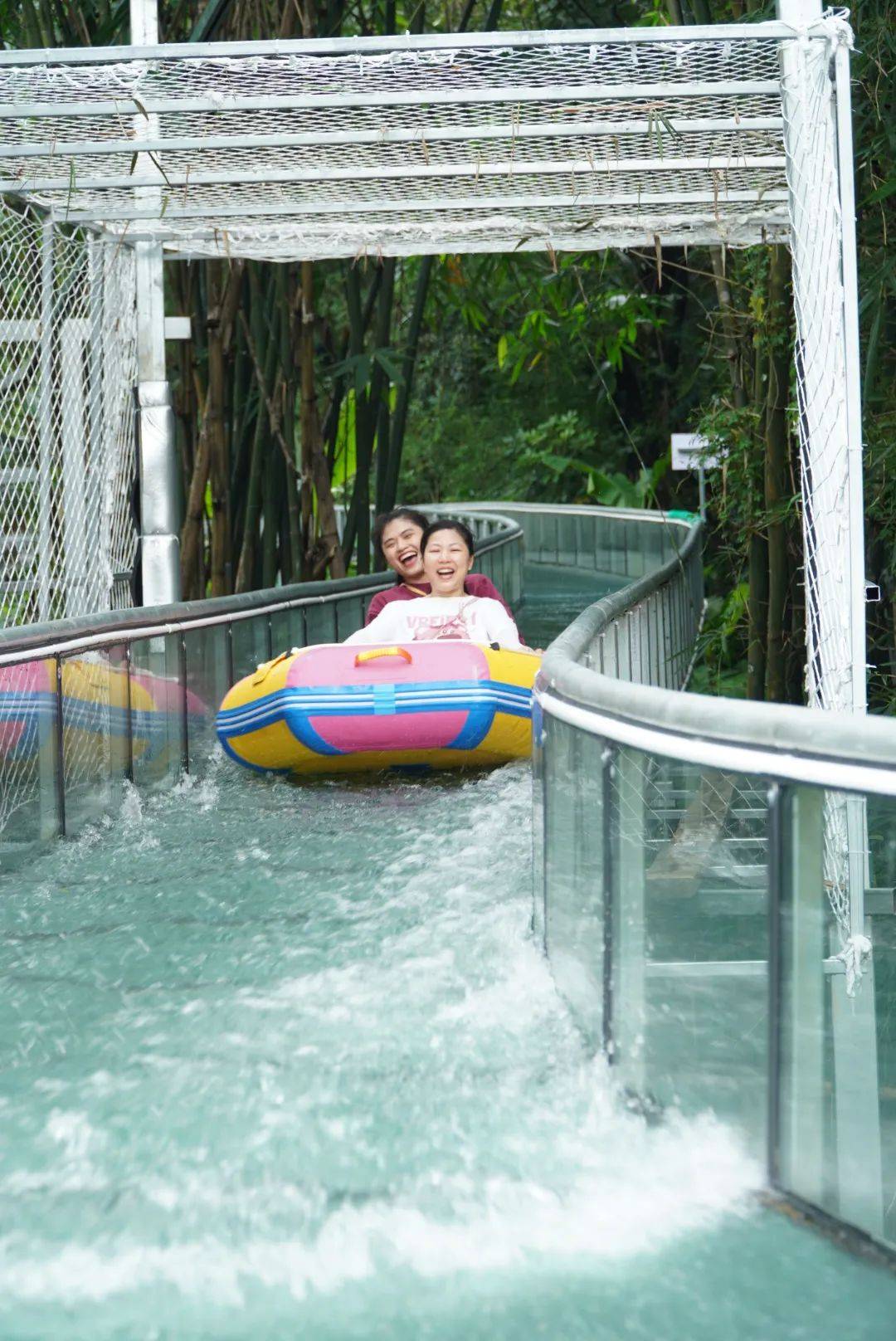 南丹山森林王国对大中学生免门票!