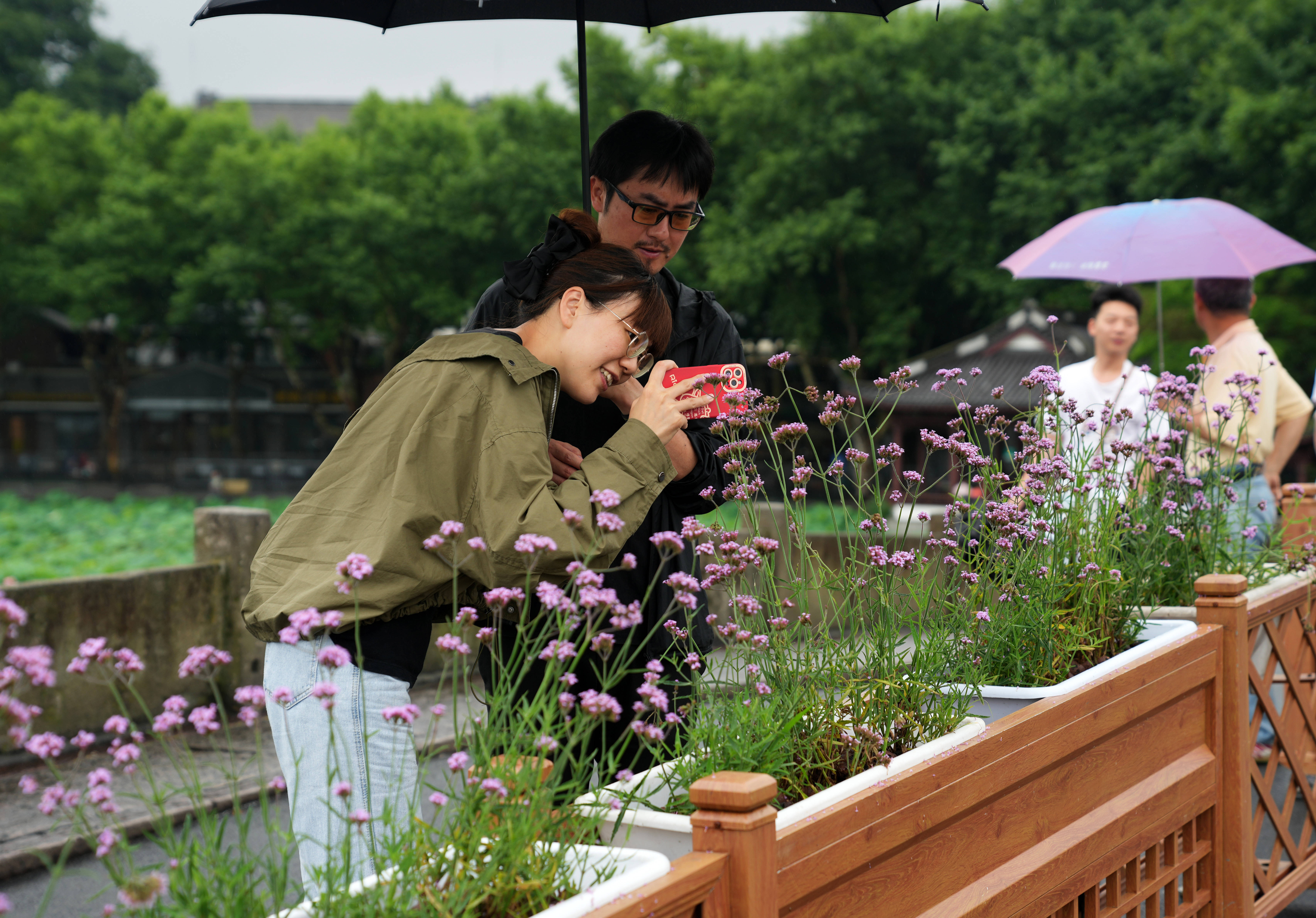 🌸【2024年管家婆100%中奖】🌸_城市一刻钟便民生活圈首批全域推进先行区试点，武汉市入选！