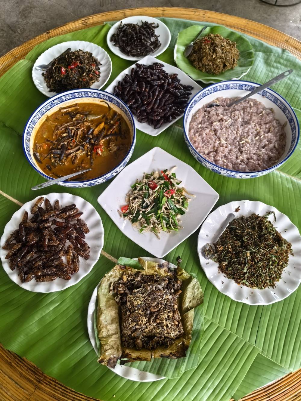 探秘云南虫宴!赴一场味蕾的奇妙"探险"_美食_文化_菜品