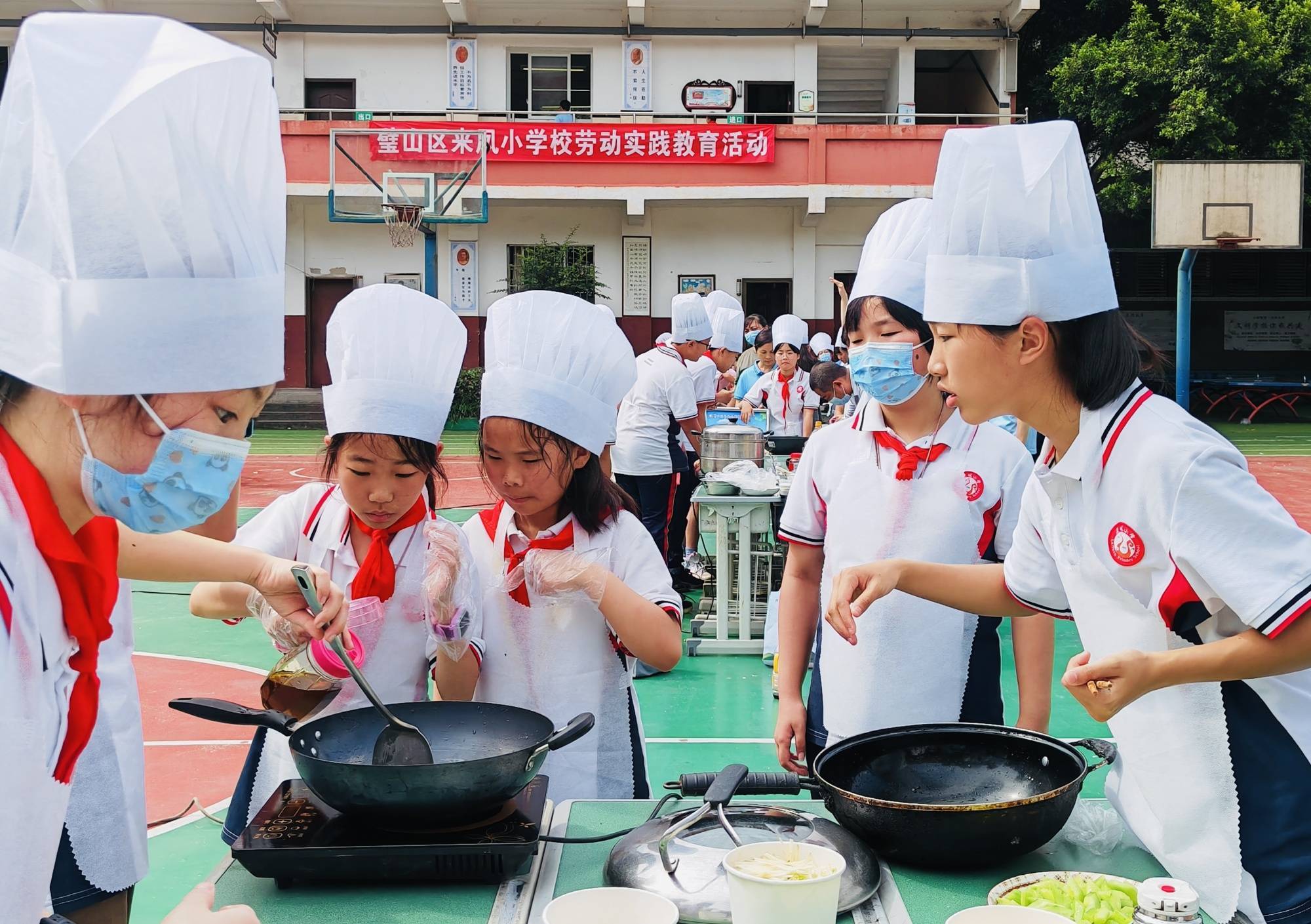 趣头条：香港一肖一码100%中-马东铁项目组织志愿者“生态教育”之旅