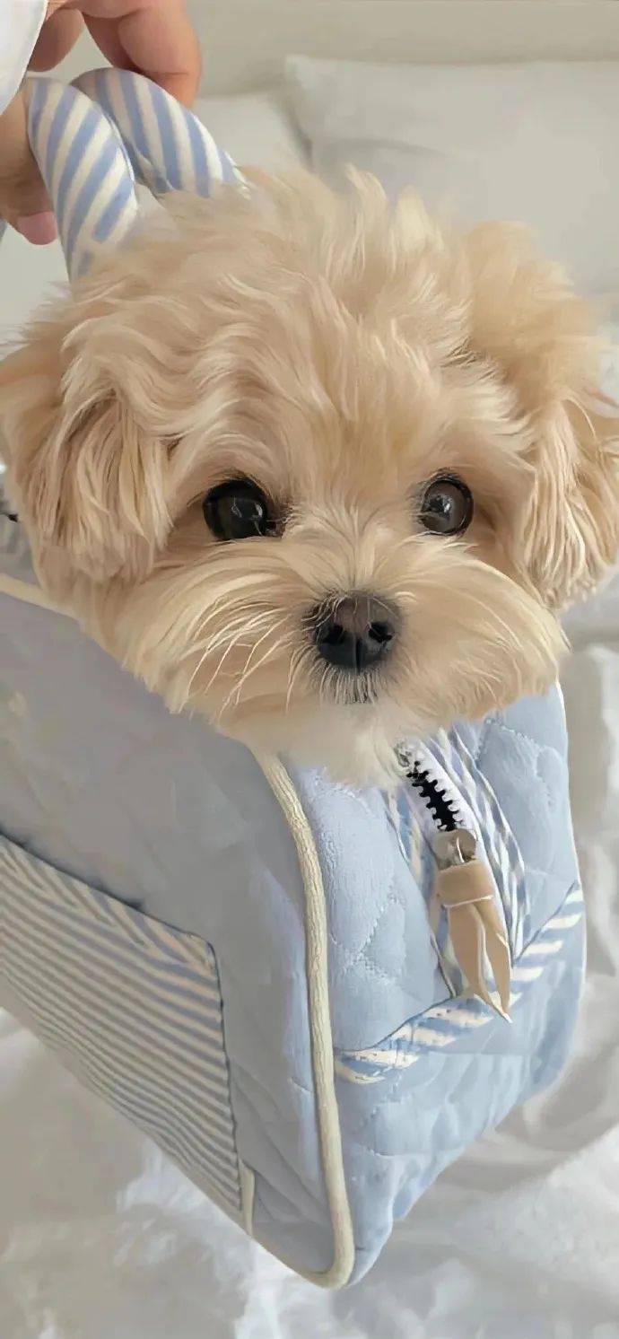 壁纸 | 高级感ins风 锁屏壁纸