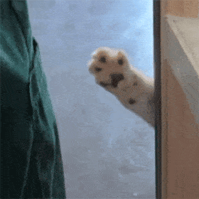 实用聊天斗图表情包