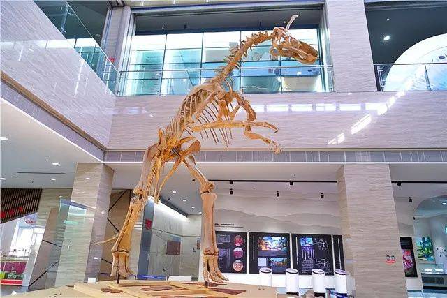 景区内的地质博物馆,收藏着珍贵的恐龙化石和地质标本,展示了白垩纪