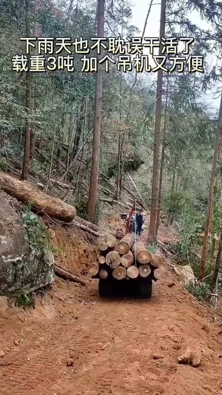 爬山虎运输车 山地运输车 农业机械 拉木头