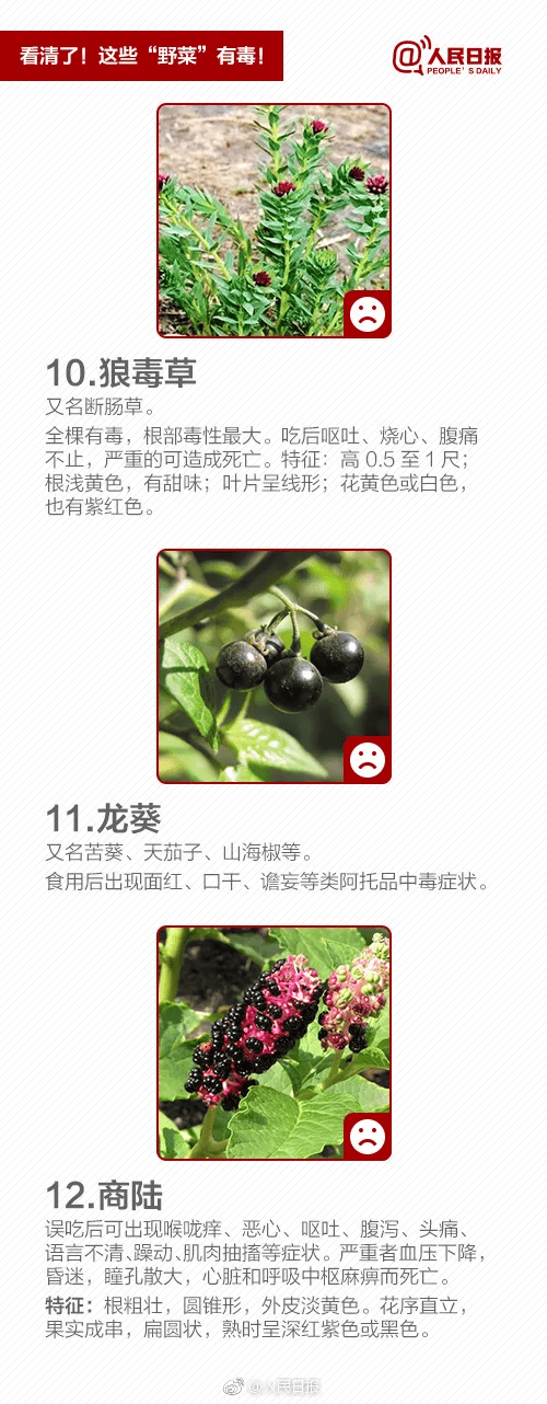 广东一家五口喝汤中毒 2人进icu,煲汤要小心这种草!