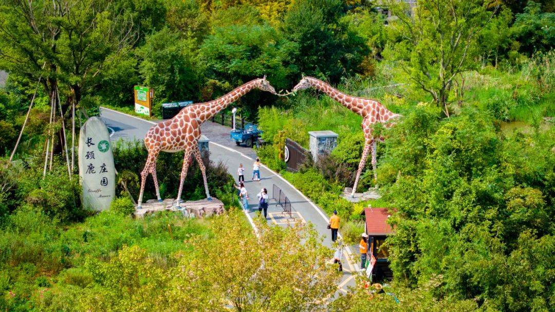 湖州西塞山风景区旅游图片