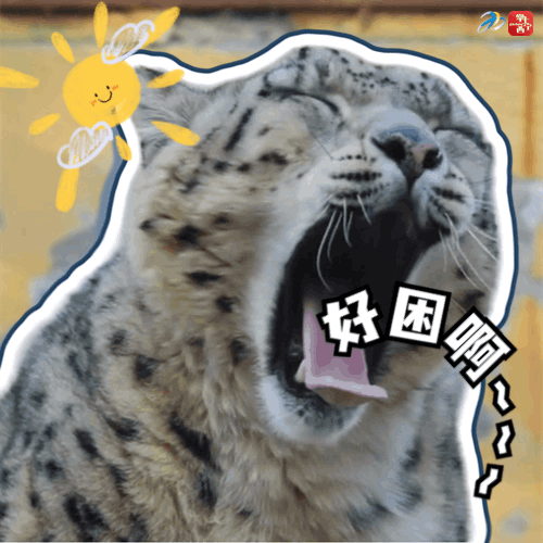 500_500gif 动态图 动图