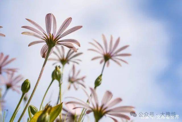 高人对尼采4个哲学要点的深度提炼，超给力