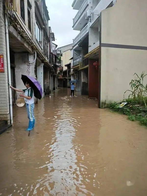 强降雨影响，梅州多地水浸，受灾现场情况...-广东梅州水灾