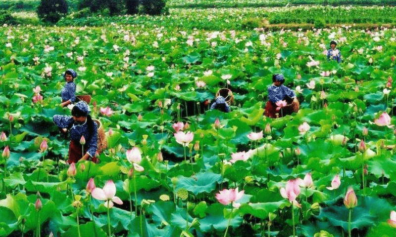 大美中国，令人骄傲！