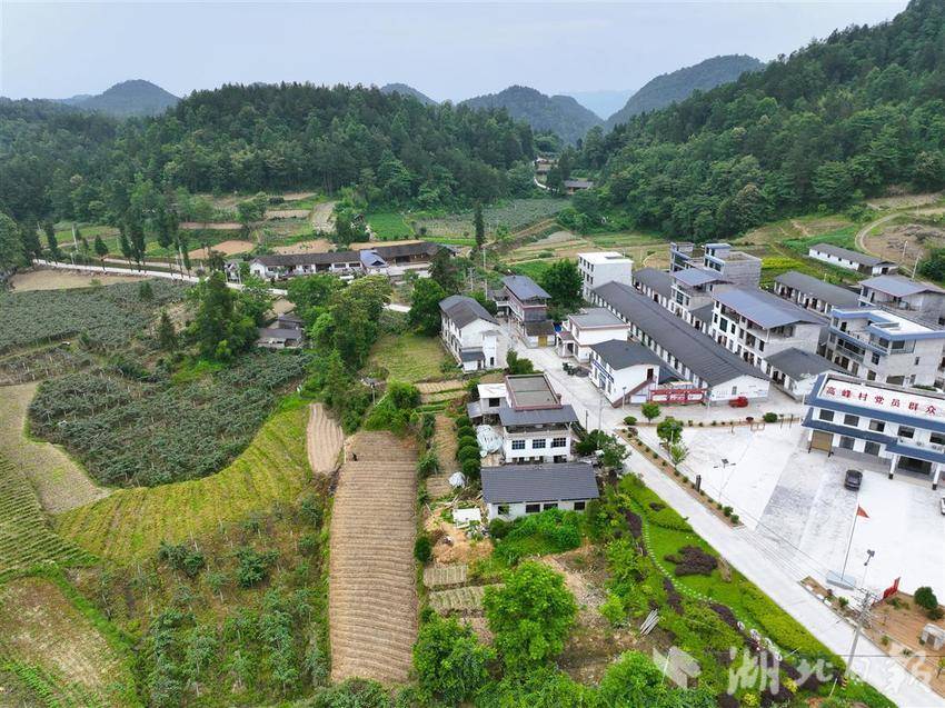 咸丰县高峰村:农旅融合助力乡村振兴_发展_猕猴桃_村民