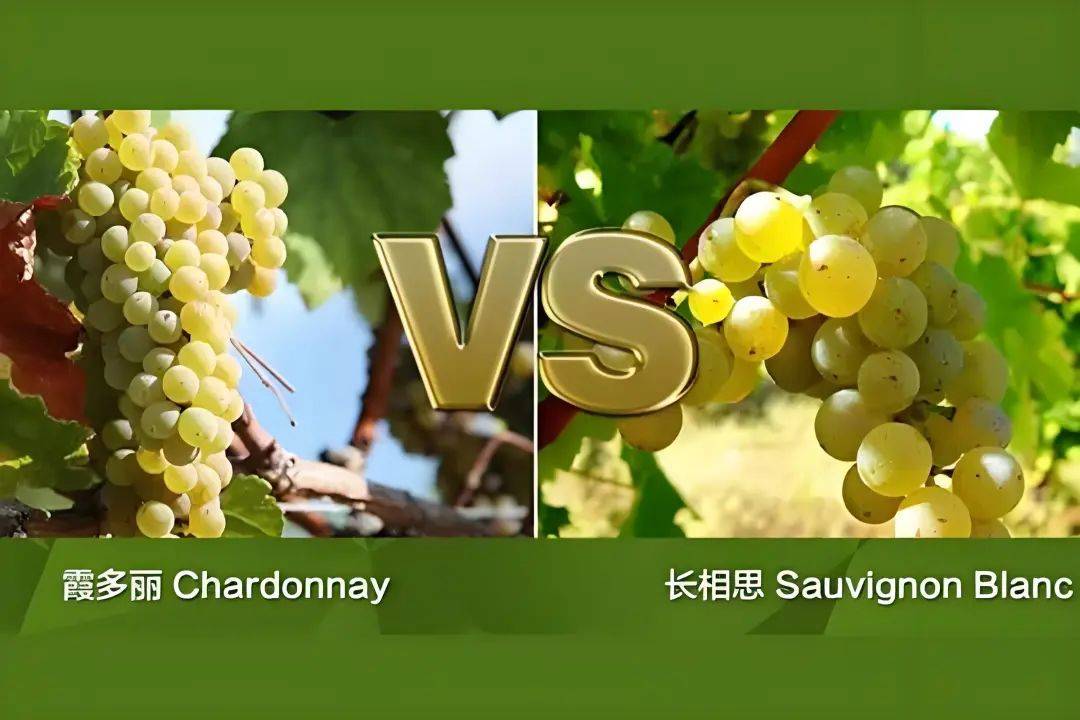 壁纸 花 桌面 1080_720