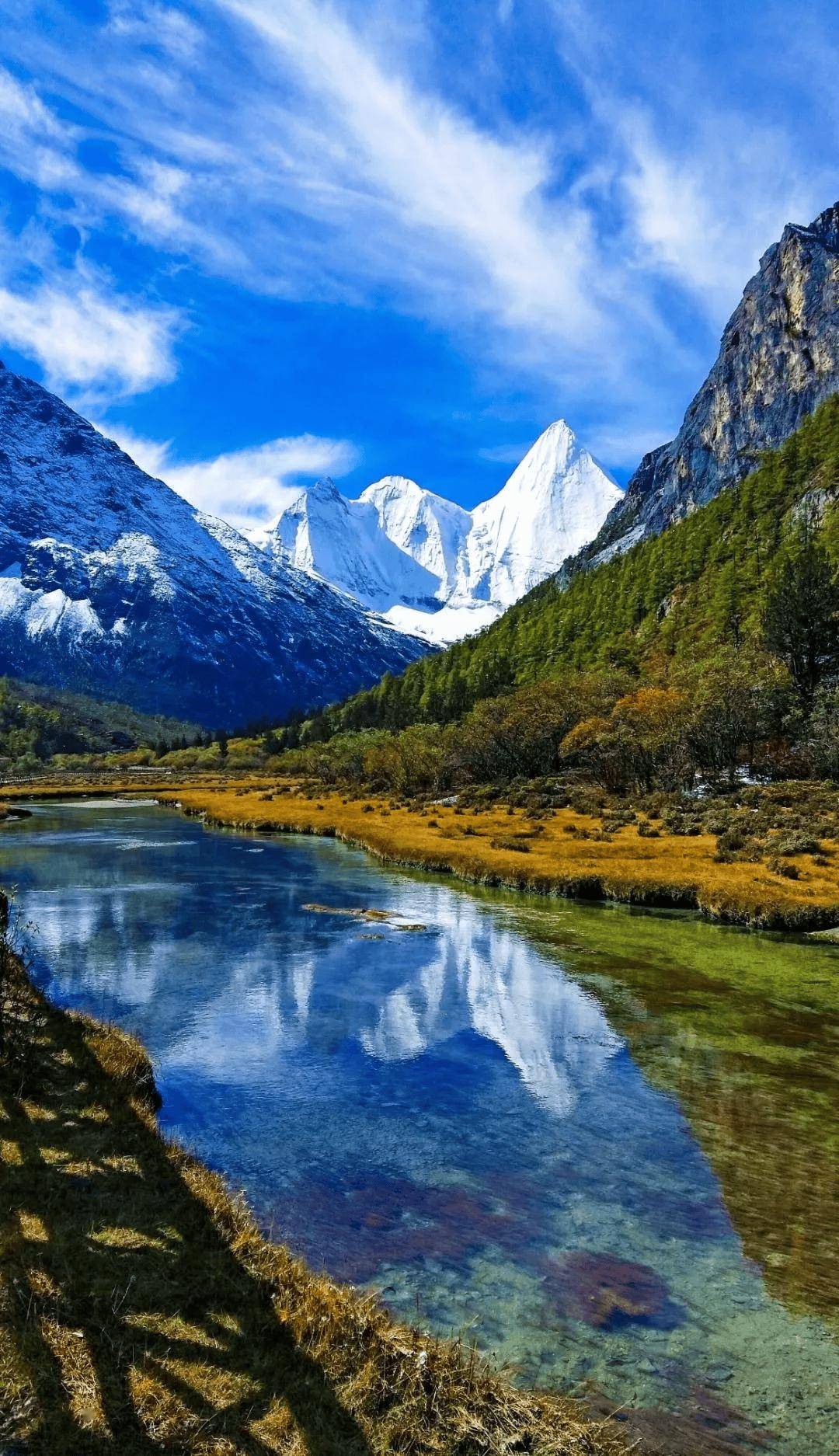 这里是人神共处的神山,也是动物的天堂,岩羊在一旁安静的吃草,山鸡一