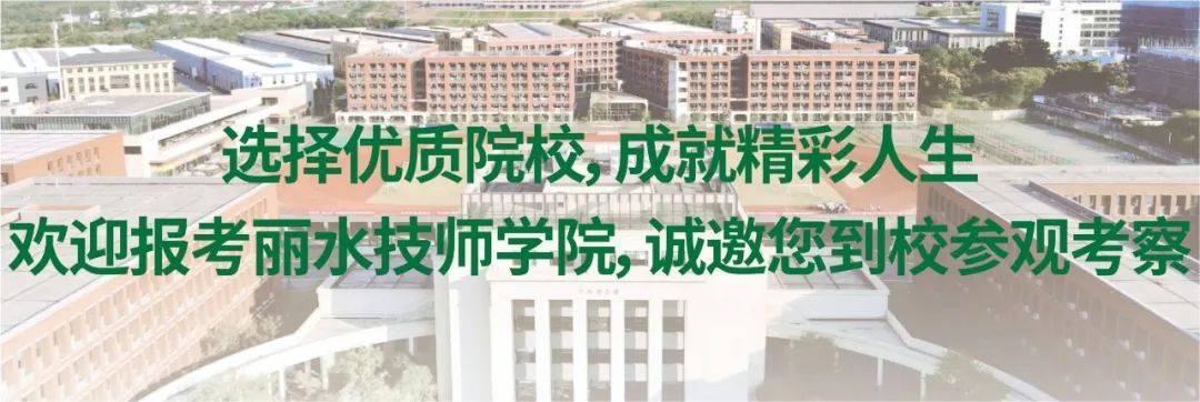 丽水技师学院校徽图片