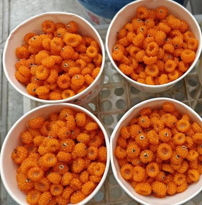 有了"阿坝甜",何惧夏日炎炎