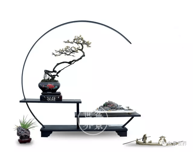 20金41银85铜!国际盆景大会暨亚太盆景赏石大会获奖作品全集