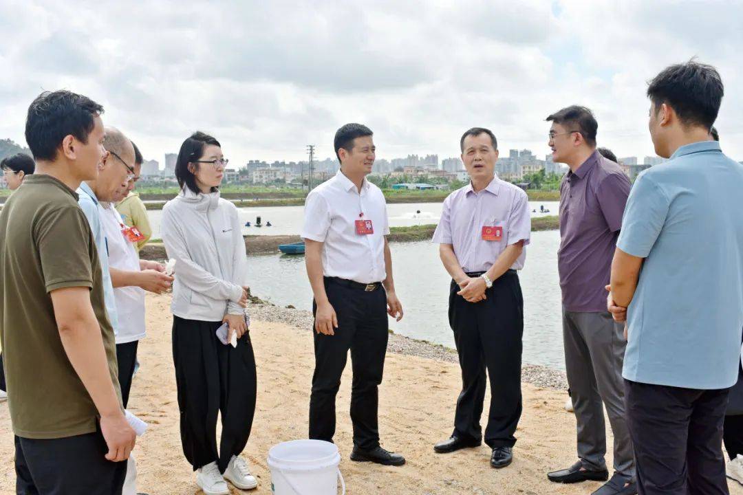 坦洲镇党委副书记,镇长赵国坚强调:实施乡村振兴战略是国家战略,是