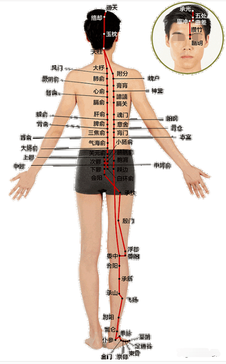 打通膀胱经