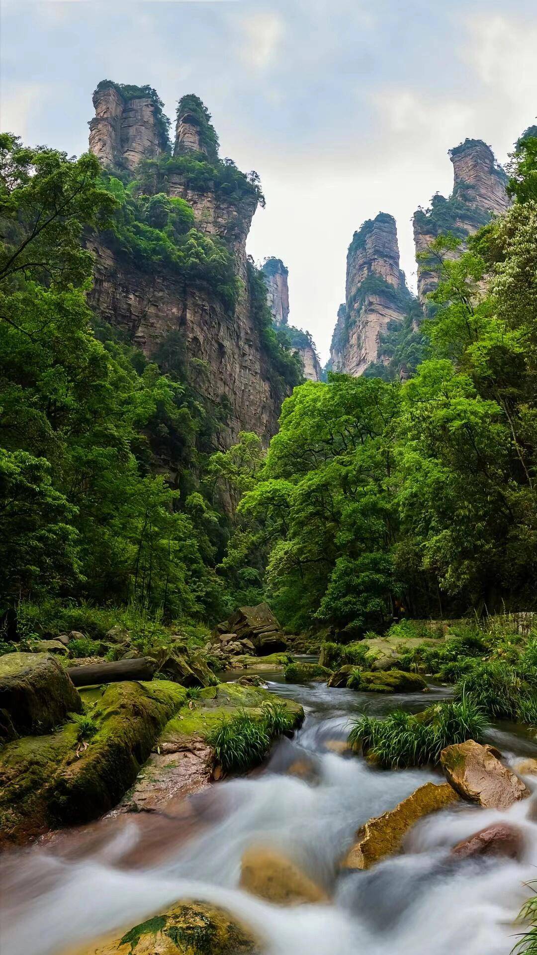 张家界旅游景区图片图片