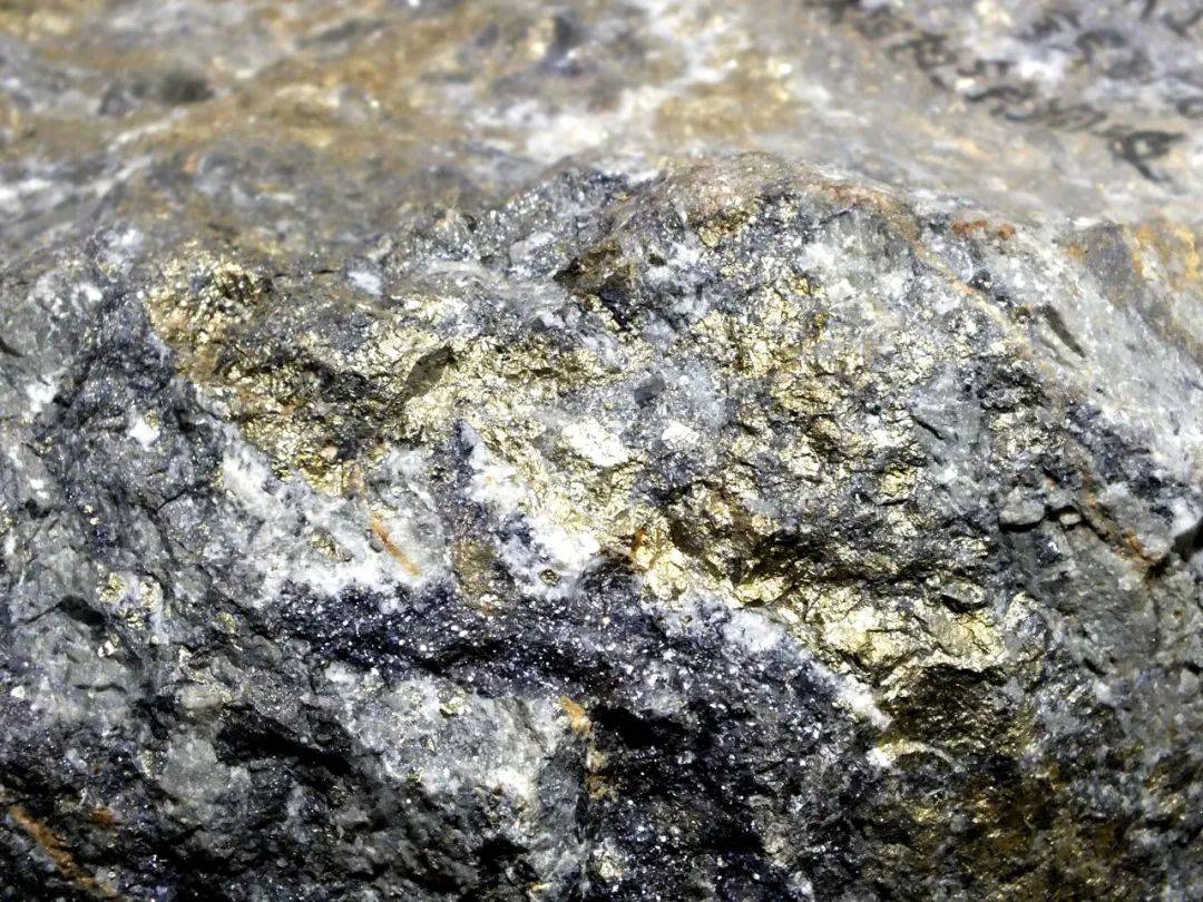 多金属金银矿石而从植物中提取黄金,仍处于研究阶段.