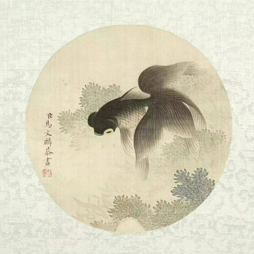 【中华文化】清·马文麟——水墨鱼欣赏