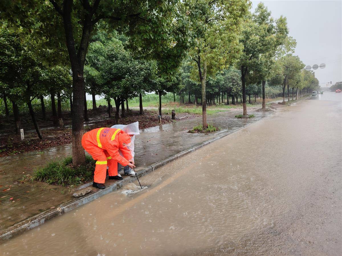 雨中不停歇,武汉市东西湖区走马岭街奋力排渍保畅通