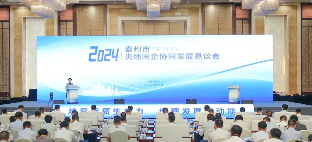 2024泰州市央地国企协同发展恳谈会举行_合作_项目_央企