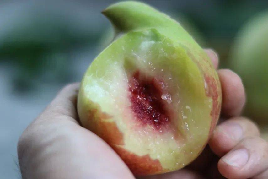 【云南鹰嘴桃】3斤29.9元!有机种植,独特鹰嘴尖!