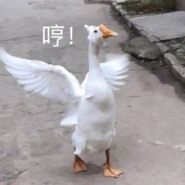 神奇的表情包来了!我给你拼了!