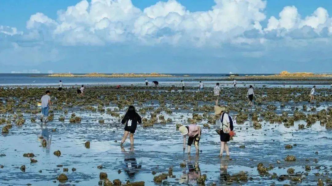 双月湾亲海3房独栋别墅(宜居6-8人)带大庭院 烧烤 ktv 麻将