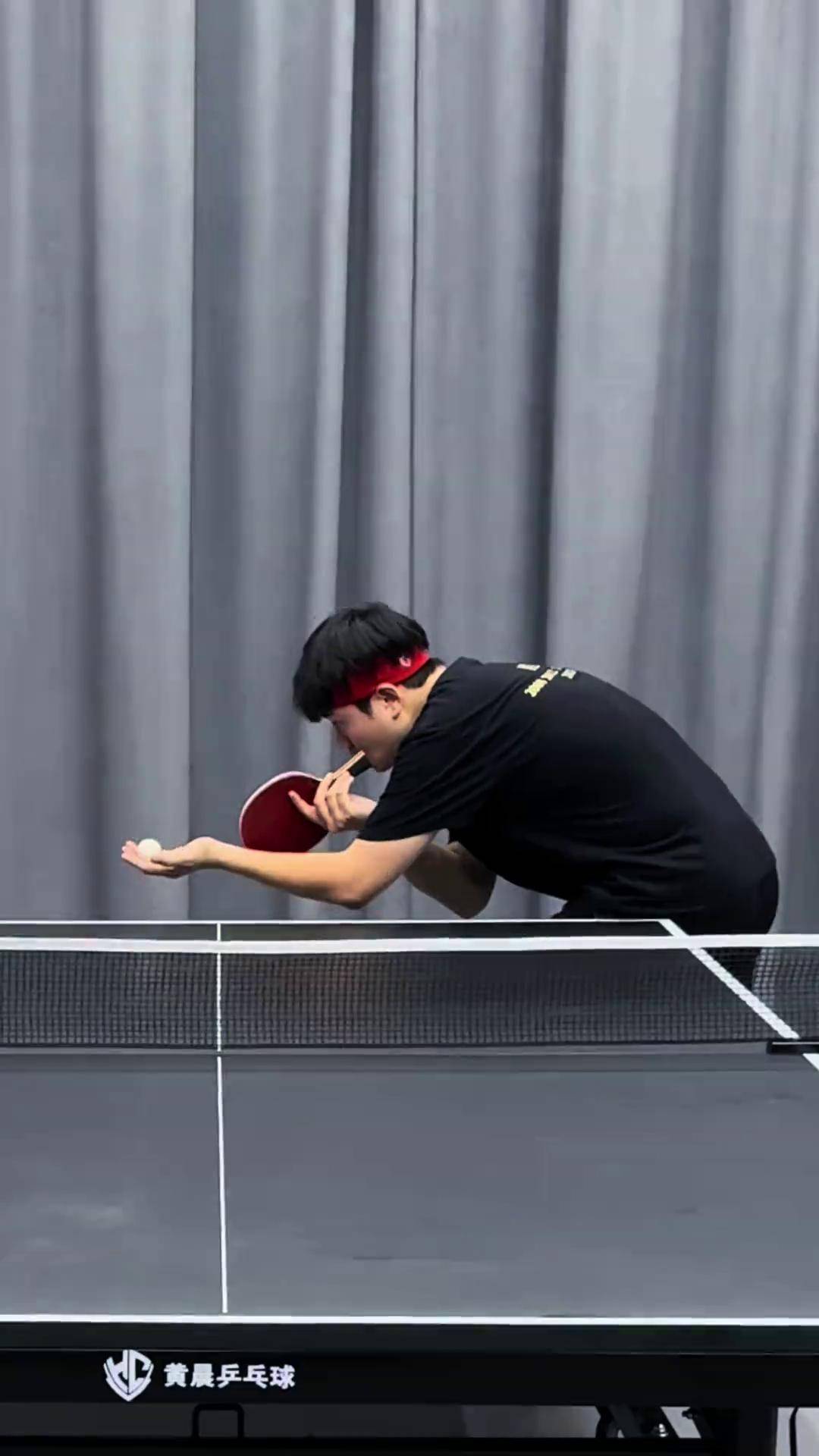 她说她服了乒乓球 黄晨乒乓球 爱意随风起风止意难平 国乒