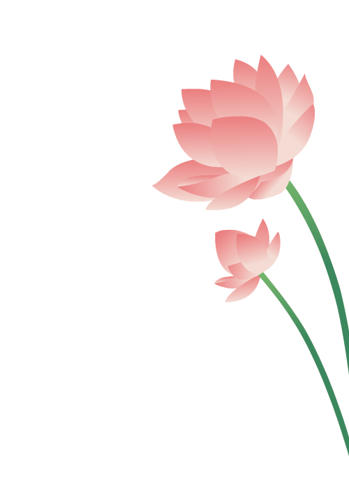 荷花已经盛放青翠欲滴的荷叶与娇艳夺目的花朵恰是夏日的清凉风景画在