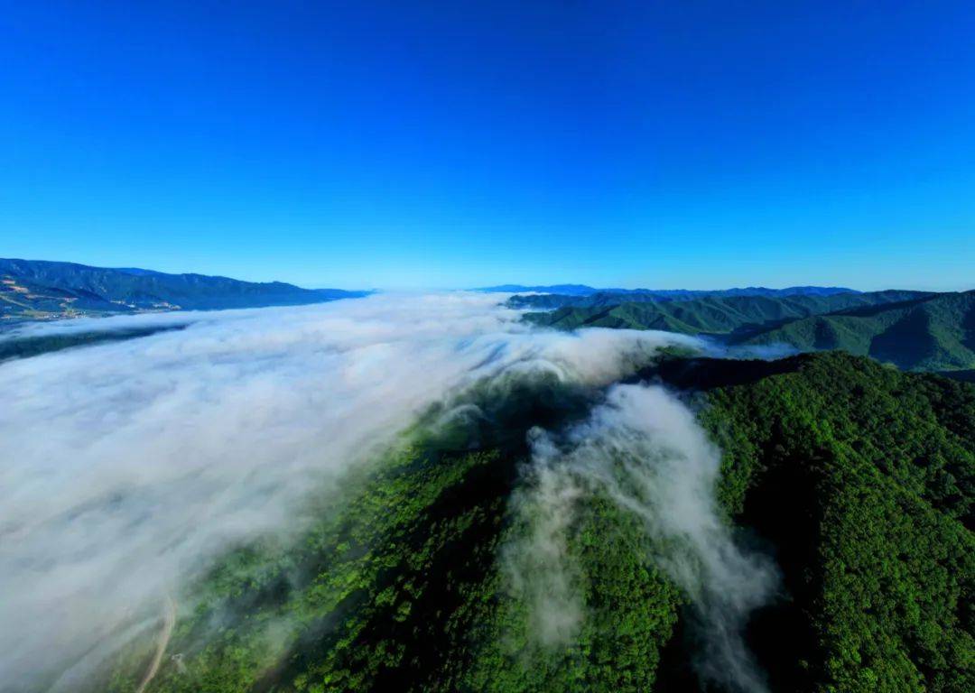 黄柏塬-太洋公路-青峰峡 | 这条天花板级别的避暑路线终于藏不住了!