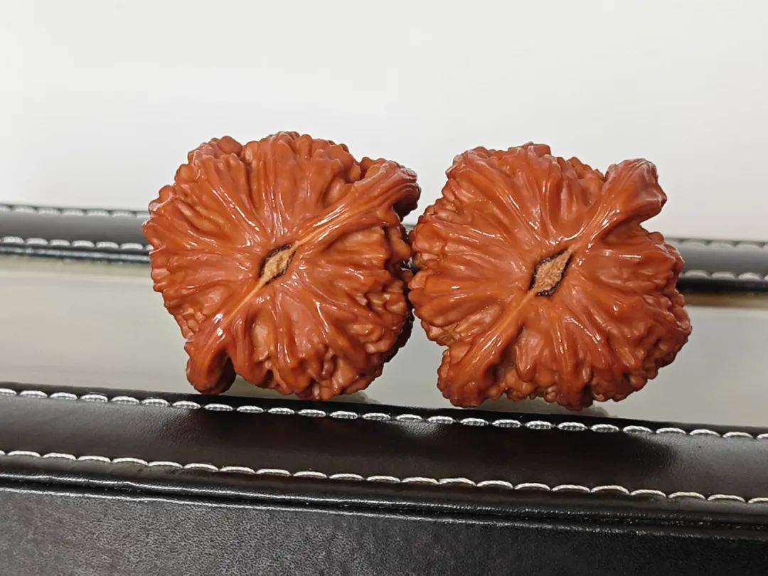文玩核桃老品种太靓:盘玩8个月的白狮子和盘玩14个月的南将石,真好看!