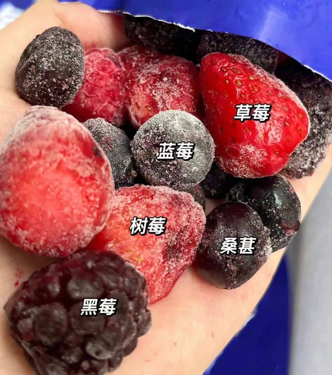 9到手15袋足足2.7斤【0添加缤纷莓果】草莓 蓝莓 树莓 黑莓 桑葚!